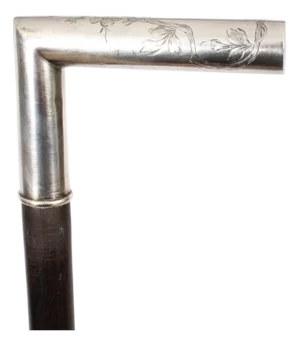 Antique Continental Silver Ebonized Walking Stick, 1800s