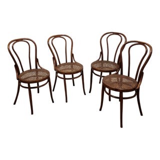 Bent Beechwood Dining Chairs from Salvatore Leone, Late 19th Century, Set of 4 For Sale