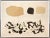 Adolph Gottlieb (1903-1974) - Germination Iii, Signed (1969, Lithograph)/Abstract Expressionism For Sale - Image 9 of 9