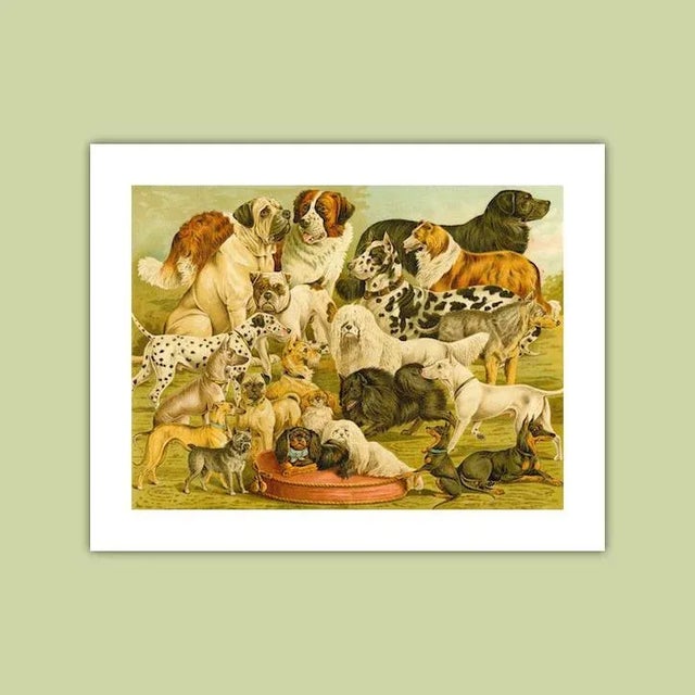 Realism 'Dog Breeds 2' Archival Reproduction Print For Sale - Image 3 of 3