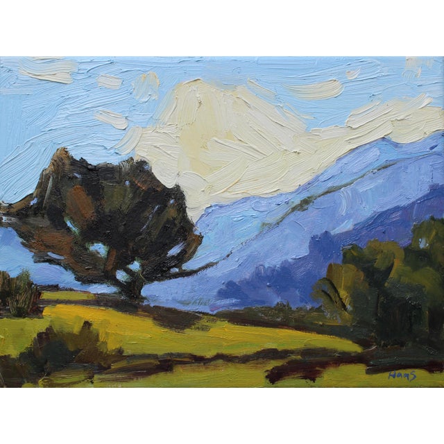 16x12 oil on stretched canvas Signed Haas Unframed. Frames shown are sample only.