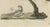 19th Century Bertuch, Swallows, Swifts and Nightjar, 1805, Print For Sale - Image 5 of 12