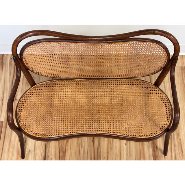 Mid-Century Modern Vintage Child's Size Caned Thonet Style Bentwood Bench For Sale - Image 3 of 8