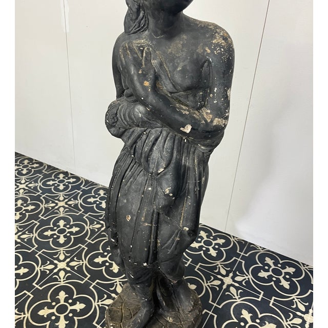 19th Century Venus Italica Ebonised Garden Statue For Sale - Image 5 of 15
