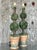 Vintage Regency Topiary Lamps - A Pair For Sale - Image 4 of 11