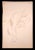 Norbert Meyre, Warm-Up, Drawing in Pencil, Early 20th-Century For Sale - Image 3 of 3