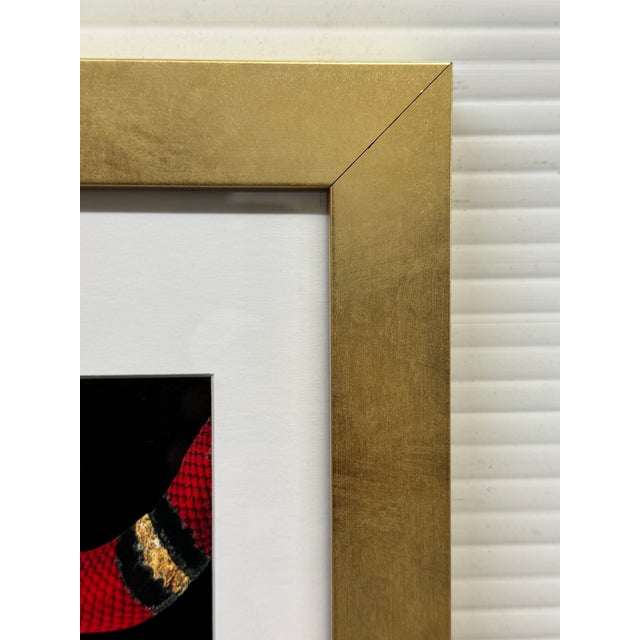 Studio One Gucci Skull II Framed Art Print For Sale - Image 11 of 12