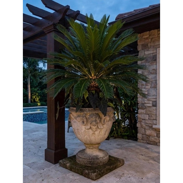 Vintage Neoclassical Cast Stone Garden Urn Planter With Lion Mascarons For Sale - Image 10 of 12