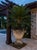 Vintage Neoclassical Cast Stone Garden Urn Planter With Lion Mascarons For Sale - Image 10 of 12
