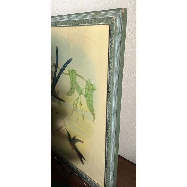 Framed Vintage Ibf Co. Hummingbird Lithograph, Hollywood Picture Frame Co., Mid-Century Botanical Fine Art For Sale - Image 9 of 11