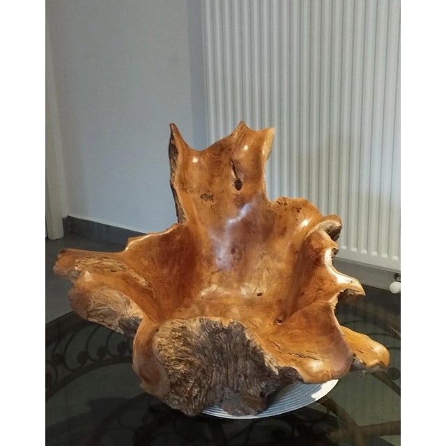 Brown Brutalist Sculptural Wooden Centerpiece, 1970s For Sale - Image 8 of 17
