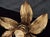 Mid-Century Modern Mid-Century Organically-Shaped Brass Wall or Ceiling Lights, 1970s, Set of 2 For Sale - Image 3 of 12