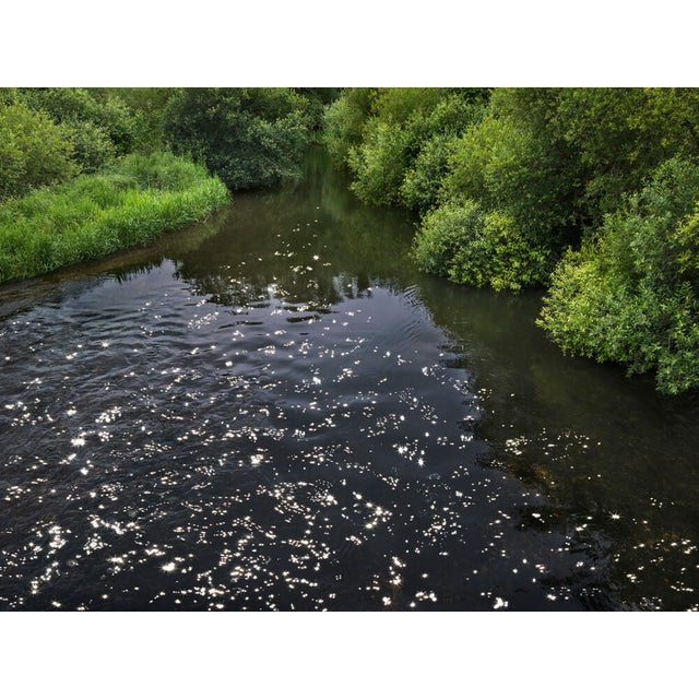 Ellie Davies, Chalk Streams 4, 2023, Photograph For Sale