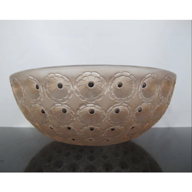 Rene Lalique France Sepia Nemours Poppy Flower Art Deco Glass 10" Bowl For Sale - Image 11 of 14