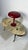 Mid-Century Modern Enamelled Metal and Brass Three-Light Desk Lamp in the style of Elio Martinelli, 1950 For Sale - Image 3 of 15