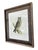 This piece is a hand-colored scientific engraving of a Long-eared Owl (Asio otus), created by the British naturalist &...