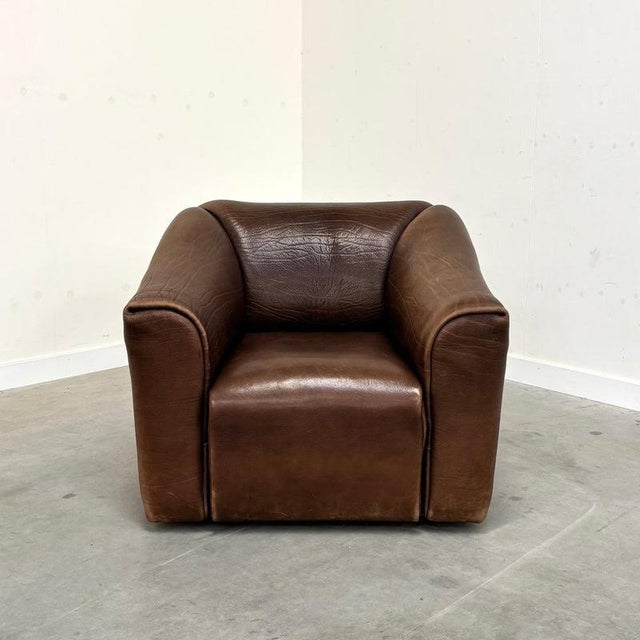 DS47 Lounge Chair from de Sede, Switzerland, 1970s For Sale - Image 3 of 13