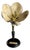 German Botanical Floral Model, 1900 For Sale
