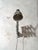 Grey Scissor Wall Lamp by H. Th. J. A. Busquet for Hala Zeist, Netherlands, 1940s For Sale - Image 14 of 15