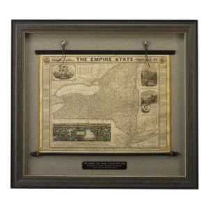 1861 the Empire State Wall Map