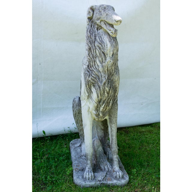 Pair of European 1930s Life Size Borzoi Russian Wolfhound Dogs For Sale - Image 9 of 12