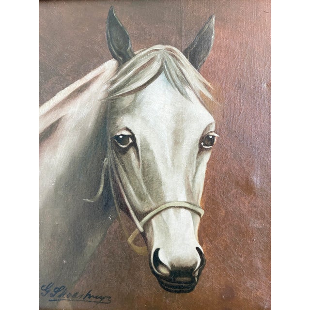 Vintage Original White Horse Oil Painting, Signed Equestrian Portrait - Signed For Sale - Image 12 of 14
