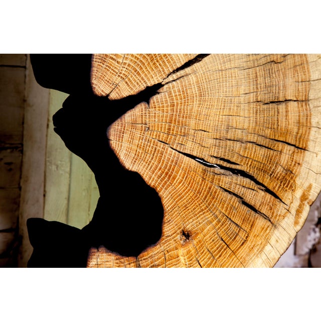 Contemporary Indra Collection Yakisugi Modern Organic Wood Sculpture - Set of 2 For Sale In San Antonio - Image 6 of 10
