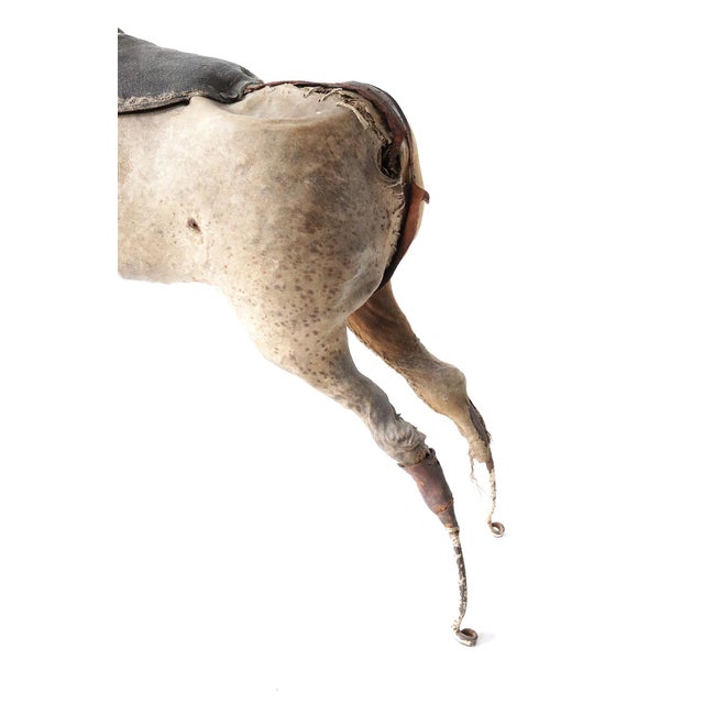 Beige French Artist, Horse Sculpture, 1880, Horsehide For Sale - Image 8 of 16