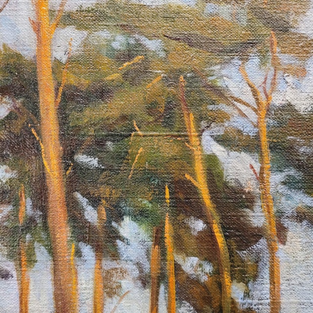 1950s French School Artist, Pine Forest, 20th Century, Oil on Canvas, Framed For Sale - Image 5 of 18