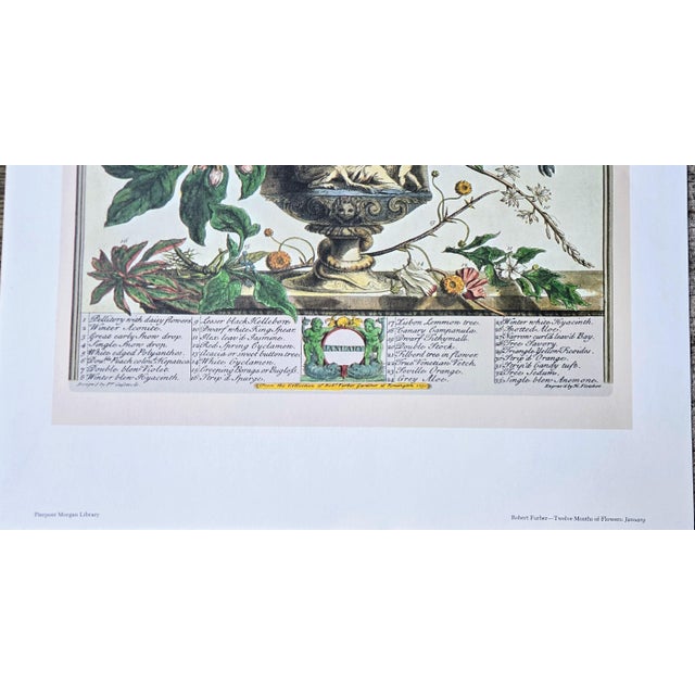 Green 1980s Vintage Robert Furber January Botanical From "Twelve Months of Flowers” Pierpont Morgan Library Print For Sale - Image 8 of 12