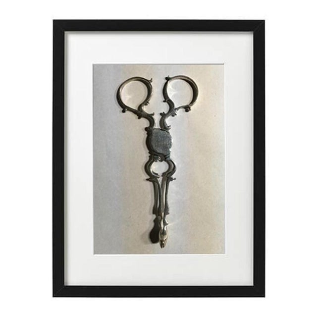 England, London 18th Century pair of sterling silver sugar nips put in wooden black frames with glass. The wooden frames...