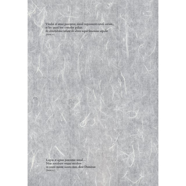 1960s 1968 Salvador Dalí Biblia Sacra Lithograph "Leo Quasi Bos Comedens Paleas" (Lion Eating Straw Like an Ox) For Sale - Image 5 of 11