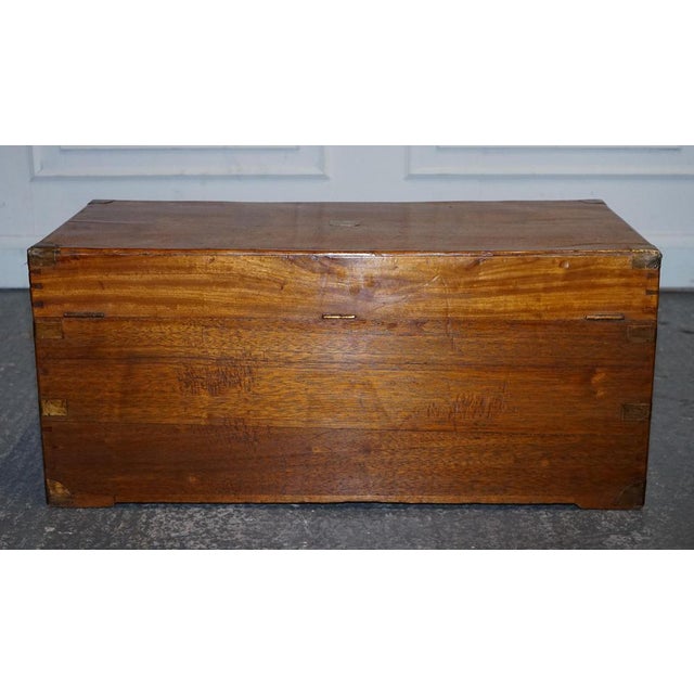 Antique English Camphor Wood Storage Trunk, 19th Century For Sale - Image 14 of 18
