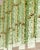 Contemporary gold chandelier in Murano Glass full of leaves that give a touch of “tropical” design. Extremally elegant and...