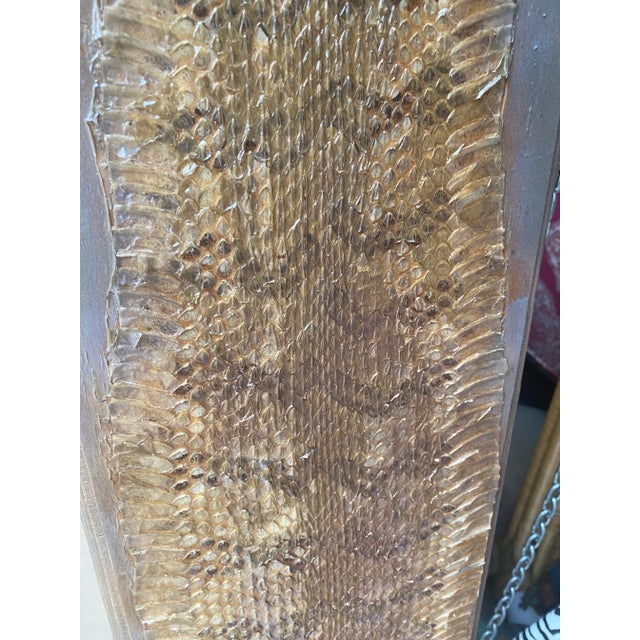 African 1970s Snake Skin on Wooden Frame For Sale - Image 3 of 6