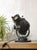 Pig Nose Theater Spotlight Desk Lamp from Strand Electric, England, 1960s For Sale - Image 16 of 16