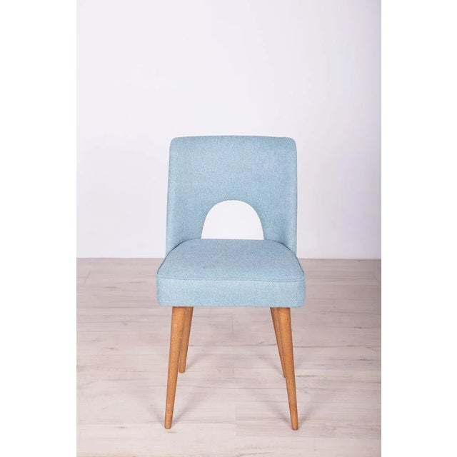 Polish Shell Chairs from Bydgoszcz Furniture Factory, 1960s, Set of 6 For Sale - Image 4 of 17