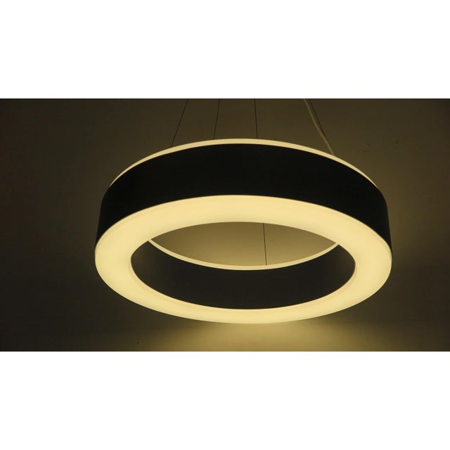 Halo Pendant Light For Sale - Image 12 of 13