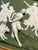 Neoclassical Rare 1900s Karl Ens, Germany Wall Hanging Bisque Porcelain Plaque Hunting Scene For Sale - Image 3 of 9