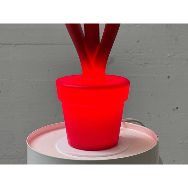 Tulip Lamp Prototype from Myyour, Early 2000s For Sale - Image 14 of 17