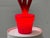 Tulip Lamp Prototype from Myyour, Early 2000s For Sale - Image 14 of 17