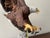 Ceramic Gunther Granget Hutschenreuther Freedom in Flight Porcelain Bald Eagle Figurine For Sale - Image 7 of 13