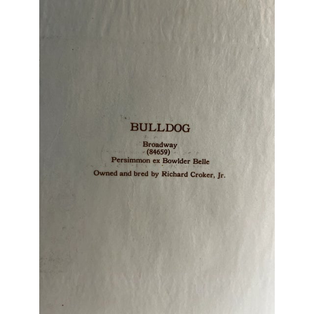 Illustration Antique Bulldog Dog Print For Sale - Image 3 of 4