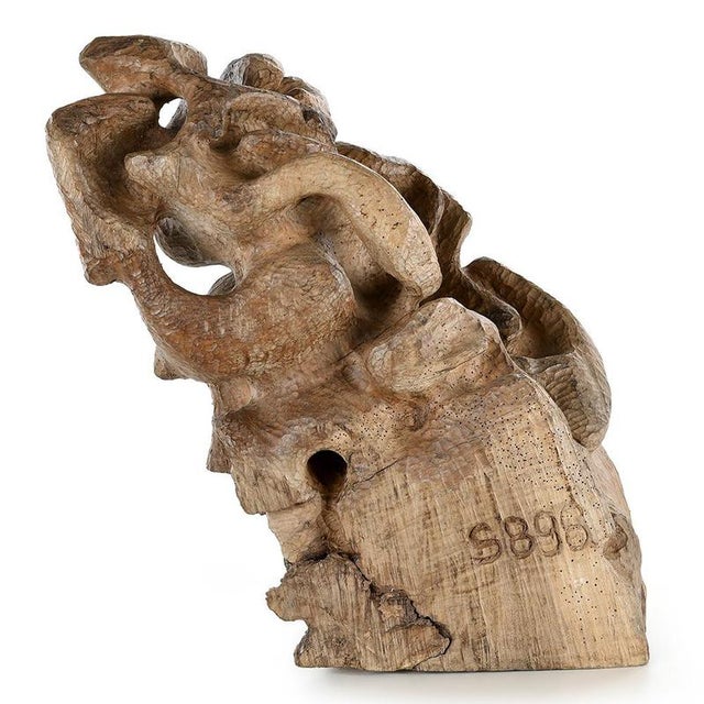Carved Teak Root Sculpture For Sale - Image 3 of 8