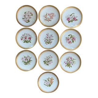 Set of 10 Antique T&v Limoges Hand-Painted Orchid Cabinet Plates for Ovington Bros., Circa 1895 For Sale