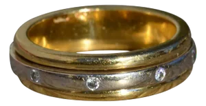 The Arandano: Ladies 18K Two Tone Diamond Spinner Band