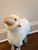 Meier Germany Lalanne-Style Sheep Sculpture in Wood and Wool For Sale - Image 9 of 9