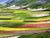 Nuances is one of the best photo on canvas realized by Giuseppe Marani in 2010. Always passionate about landscapes and...