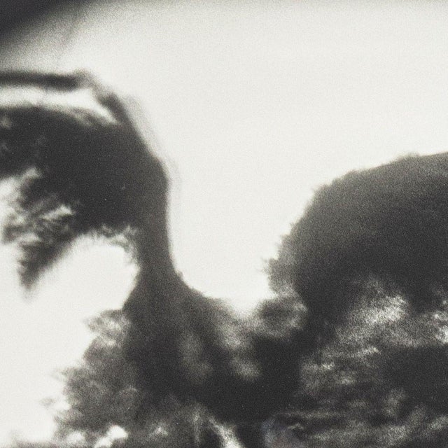 Contemporary Michael Ackerman "Cabbagetown" Silver Print For Sale - Image 3 of 6