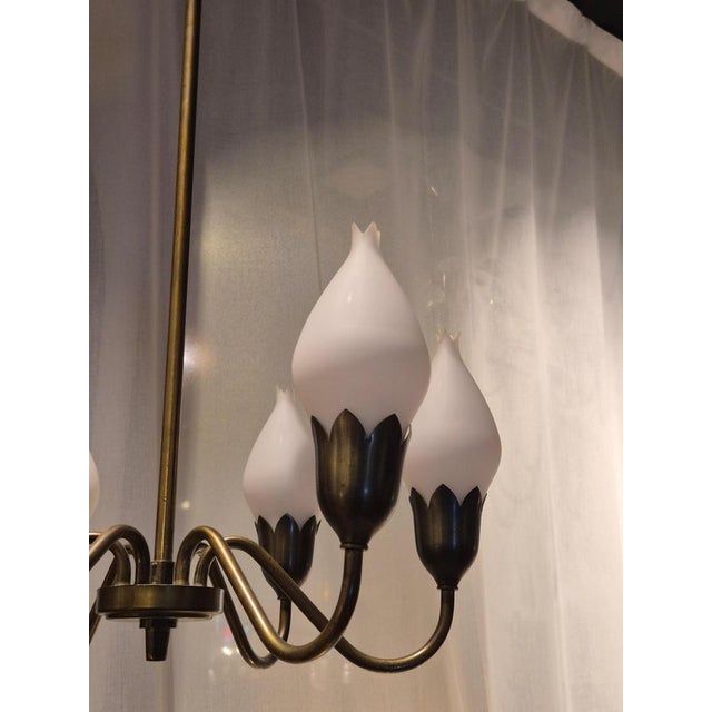 1960s Mid-Century Tulip Chandelier in Brass and Glass attributed to Fog & Mørup, Denmark, 1960s For Sale - Image 5 of 9